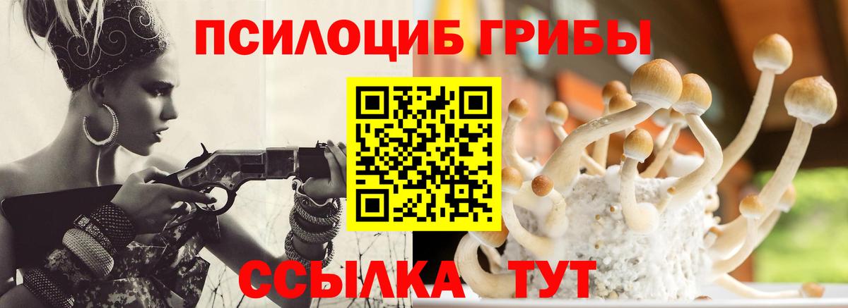 Галлюциногенные грибы GOLDEN TEACHER Тулун