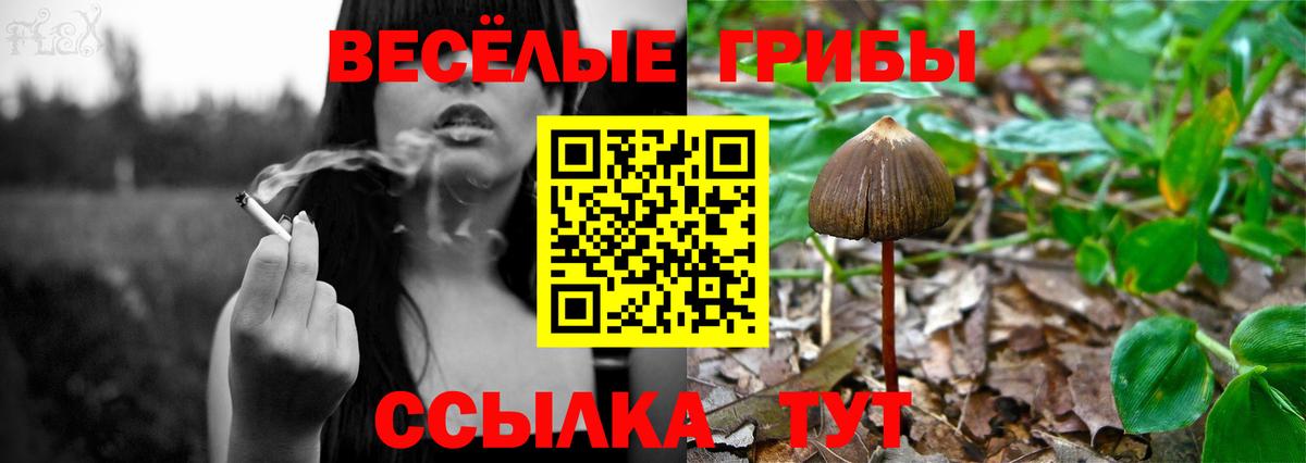 Галлюциногенные грибы мицелий  как найти наркотики  Вход с VPN  Тулун  Псилоцибиновые грибы Magic Shrooms 